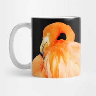 Profile of a Flamingo Sunlit by the Afternoon Summer Sun Mug